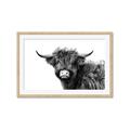 Picture of Scottish Highlands  _GroupedProduct_Rectangle_Landscape_Photography _GroupedProduct_Rectangle_Landscape_Framed_Matted_