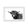 Picture of Scottish Highlands  _GroupedProduct_Rectangle_Landscape_Photography _GroupedProduct_Rectangle_Landscape_Framed_Matted_