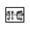 Picture of Sipping Zebras  _GroupedProduct_Rectangle_Landscape_Photography _GroupedProduct_Rectangle_Landscape_Framed_Matted_