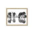 Picture of Sipping Zebras  _GroupedProduct_Rectangle_Landscape_Photography _GroupedProduct_Rectangle_Landscape_Framed_Matted_