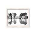 Picture of Sipping Zebras  _GroupedProduct_Rectangle_Landscape_Photography _GroupedProduct_Rectangle_Landscape_Framed_Matted_