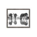 Picture of Sipping Zebras  _GroupedProduct_Rectangle_Landscape_Photography _GroupedProduct_Rectangle_Landscape_Framed_Matted_
