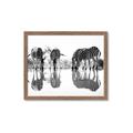 Picture of Sipping Zebras  _GroupedProduct_Rectangle_Landscape_Photography _GroupedProduct_Rectangle_Landscape_Framed_Matted_