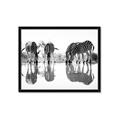 Picture of Sipping Zebras  _GroupedProduct_Rectangle_Landscape_Photography _GroupedProduct_Rectangle_Landscape_Framed_Matted_