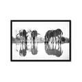 Picture of Sipping Zebras  _GroupedProduct_Rectangle_Landscape_Photography _GroupedProduct_Rectangle_Landscape_Framed_Matted_