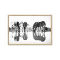 Picture of Sipping Zebras  _GroupedProduct_Rectangle_Landscape_Photography _GroupedProduct_Rectangle_Landscape_Framed_Matted_