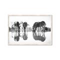 Picture of Sipping Zebras  _GroupedProduct_Rectangle_Landscape_Photography _GroupedProduct_Rectangle_Landscape_Framed_Matted_
