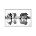 Picture of Sipping Zebras  _GroupedProduct_Rectangle_Landscape_Photography _GroupedProduct_Rectangle_Landscape_Framed_Matted_