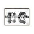 Picture of Sipping Zebras  _GroupedProduct_Rectangle_Landscape_Photography _GroupedProduct_Rectangle_Landscape_Framed_Matted_
