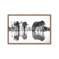 Picture of Sipping Zebras  _GroupedProduct_Rectangle_Landscape_Photography _GroupedProduct_Rectangle_Landscape_Framed_Matted_