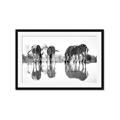 Picture of Sipping Zebras  _GroupedProduct_Rectangle_Landscape_Photography _GroupedProduct_Rectangle_Landscape_Framed_Matted_
