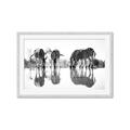 Picture of Sipping Zebras  _GroupedProduct_Rectangle_Landscape_Photography _GroupedProduct_Rectangle_Landscape_Framed_Matted_