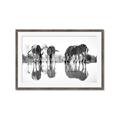 Picture of Sipping Zebras  _GroupedProduct_Rectangle_Landscape_Photography _GroupedProduct_Rectangle_Landscape_Framed_Matted_