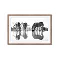 Picture of Sipping Zebras  _GroupedProduct_Rectangle_Landscape_Photography _GroupedProduct_Rectangle_Landscape_Framed_Matted_