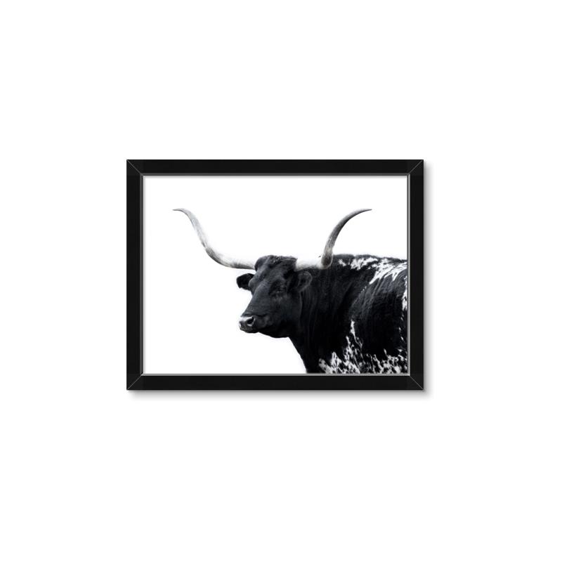 Picture of Spotted Bull  _GroupedProduct_Rectangle_Landscape_Photography _GroupedProduct_Rectangle_Landscape_Framed_Matted_