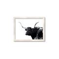 Picture of Spotted Bull  _GroupedProduct_Rectangle_Landscape_Photography _GroupedProduct_Rectangle_Landscape_Framed_Matted_