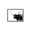 Picture of Spotted Bull  _GroupedProduct_Rectangle_Landscape_Photography _GroupedProduct_Rectangle_Landscape_Framed_Matted_
