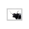 Picture of Spotted Bull  _GroupedProduct_Rectangle_Landscape_Photography _GroupedProduct_Rectangle_Landscape_Framed_Matted_