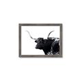 Picture of Spotted Bull  _GroupedProduct_Rectangle_Landscape_Photography _GroupedProduct_Rectangle_Landscape_Framed_Matted_
