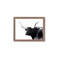 Picture of Spotted Bull  _GroupedProduct_Rectangle_Landscape_Photography _GroupedProduct_Rectangle_Landscape_Framed_Matted_