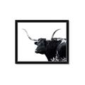Picture of Spotted Bull  _GroupedProduct_Rectangle_Landscape_Photography _GroupedProduct_Rectangle_Landscape_Framed_Matted_