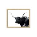 Picture of Spotted Bull  _GroupedProduct_Rectangle_Landscape_Photography _GroupedProduct_Rectangle_Landscape_Framed_Matted_