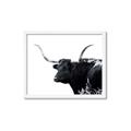 Picture of Spotted Bull  _GroupedProduct_Rectangle_Landscape_Photography _GroupedProduct_Rectangle_Landscape_Framed_Matted_