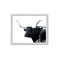 Picture of Spotted Bull  _GroupedProduct_Rectangle_Landscape_Photography _GroupedProduct_Rectangle_Landscape_Framed_Matted_