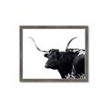 Picture of Spotted Bull  _GroupedProduct_Rectangle_Landscape_Photography _GroupedProduct_Rectangle_Landscape_Framed_Matted_