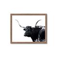 Picture of Spotted Bull  _GroupedProduct_Rectangle_Landscape_Photography _GroupedProduct_Rectangle_Landscape_Framed_Matted_