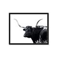 Picture of Spotted Bull  _GroupedProduct_Rectangle_Landscape_Photography _GroupedProduct_Rectangle_Landscape_Framed_Matted_