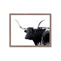 Picture of Spotted Bull  _GroupedProduct_Rectangle_Landscape_Photography _GroupedProduct_Rectangle_Landscape_Framed_Matted_