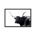 Picture of Spotted Bull  _GroupedProduct_Rectangle_Landscape_Photography _GroupedProduct_Rectangle_Landscape_Framed_Matted_