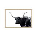 Picture of Spotted Bull  _GroupedProduct_Rectangle_Landscape_Photography _GroupedProduct_Rectangle_Landscape_Framed_Matted_