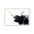 Picture of Spotted Bull  _GroupedProduct_Rectangle_Landscape_Photography _GroupedProduct_Rectangle_Landscape_Framed_Matted_