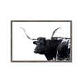 Picture of Spotted Bull  _GroupedProduct_Rectangle_Landscape_Photography _GroupedProduct_Rectangle_Landscape_Framed_Matted_