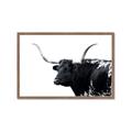 Picture of Spotted Bull  _GroupedProduct_Rectangle_Landscape_Photography _GroupedProduct_Rectangle_Landscape_Framed_Matted_