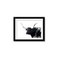 Picture of Spotted Bull  _GroupedProduct_Rectangle_Landscape_Photography _GroupedProduct_Rectangle_Landscape_Framed_Matted_