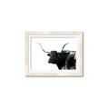 Picture of Spotted Bull  _GroupedProduct_Rectangle_Landscape_Photography _GroupedProduct_Rectangle_Landscape_Framed_Matted_