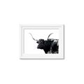 Picture of Spotted Bull  _GroupedProduct_Rectangle_Landscape_Photography _GroupedProduct_Rectangle_Landscape_Framed_Matted_