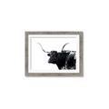 Picture of Spotted Bull  _GroupedProduct_Rectangle_Landscape_Photography _GroupedProduct_Rectangle_Landscape_Framed_Matted_