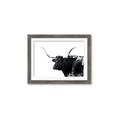 Picture of Spotted Bull  _GroupedProduct_Rectangle_Landscape_Photography _GroupedProduct_Rectangle_Landscape_Framed_Matted_