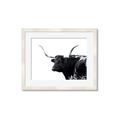 Picture of Spotted Bull  _GroupedProduct_Rectangle_Landscape_Photography _GroupedProduct_Rectangle_Landscape_Framed_Matted_