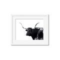 Picture of Spotted Bull  _GroupedProduct_Rectangle_Landscape_Photography _GroupedProduct_Rectangle_Landscape_Framed_Matted_