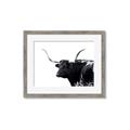 Picture of Spotted Bull  _GroupedProduct_Rectangle_Landscape_Photography _GroupedProduct_Rectangle_Landscape_Framed_Matted_