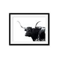 Picture of Spotted Bull  _GroupedProduct_Rectangle_Landscape_Photography _GroupedProduct_Rectangle_Landscape_Framed_Matted_