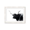 Picture of Spotted Bull  _GroupedProduct_Rectangle_Landscape_Photography _GroupedProduct_Rectangle_Landscape_Framed_Matted_