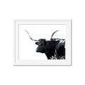 Picture of Spotted Bull  _GroupedProduct_Rectangle_Landscape_Photography _GroupedProduct_Rectangle_Landscape_Framed_Matted_