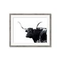 Picture of Spotted Bull  _GroupedProduct_Rectangle_Landscape_Photography _GroupedProduct_Rectangle_Landscape_Framed_Matted_