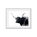 Picture of Spotted Bull  _GroupedProduct_Rectangle_Landscape_Photography _GroupedProduct_Rectangle_Landscape_Framed_Matted_